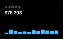 Total Earning Chart
