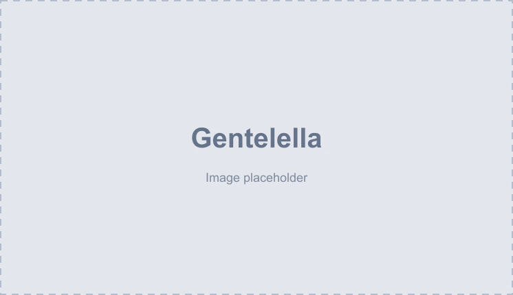 gentelella-img