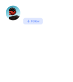 User Profile Card